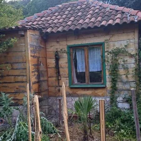 Tresnja Polje-Bijela
